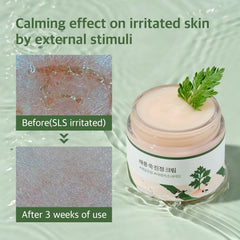 Round Lab Mugwort Calming Cream 80ml — image 3