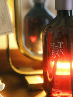 Hetras Premium Diffuser 500mlx2 [Namsan] 500ml — image 5