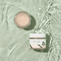 Round Lab Mugwort Calming Cream 80ml — image 4